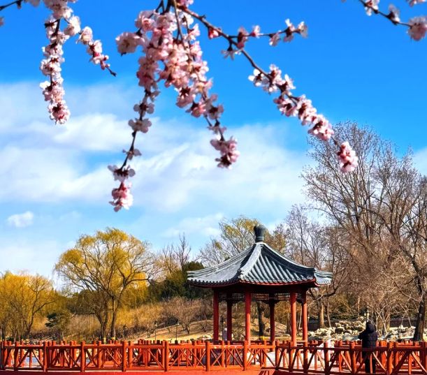 北京旅游团4天3晚游价格贵不贵跟团去北京旅游避坑技巧攻略来了