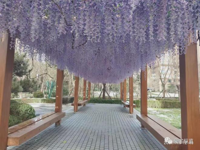 九游app缦合北京(售楼处)官方网站-缦合北京楼盘百科-2025房天下(图10)