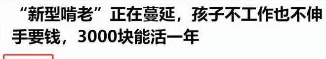 九游官网“新型啃老”正向全国蔓延：年轻人不上班不伸手要钱3000块能活(图27)