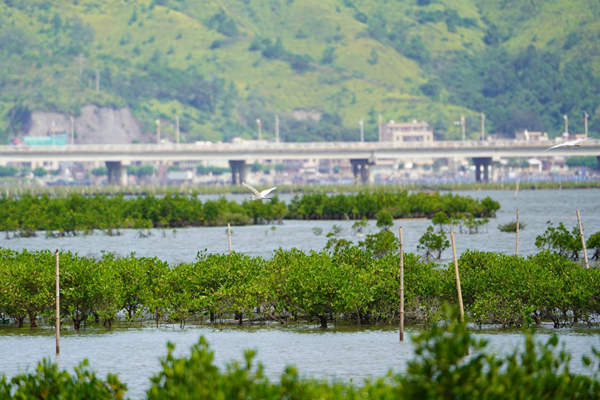 岭南绿动力！广东省属企业多维探索绿色发展(图5)
