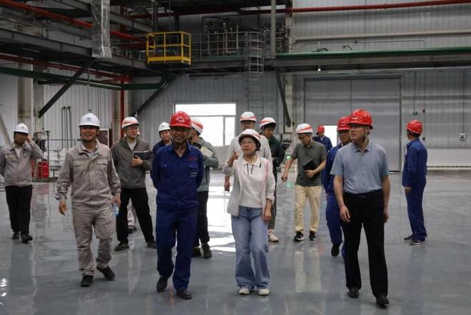 榆林恒神碳纤维项目中交(图2)