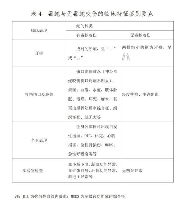 女游客被咬身亡：是三亚蛇毒还是医院渎职？｜大象夜读(图9)