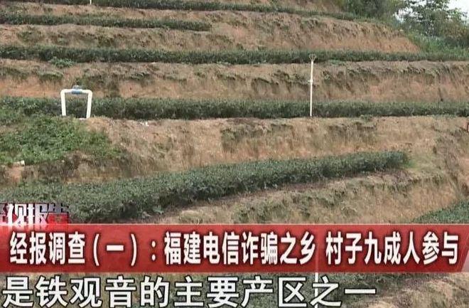 【江湖】从驻马店、到安溪“十亿人民九亿骗还有一亿在锻炼”(图7)