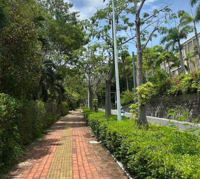 三亚蛇咬死人后续家属曝全过程俩医院恐担责女孩身份不一般(图2)