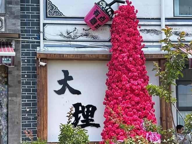 云南旅行社哪家好？排名前十口碑最好的旅行社附昆大丽超全攻略(图4)