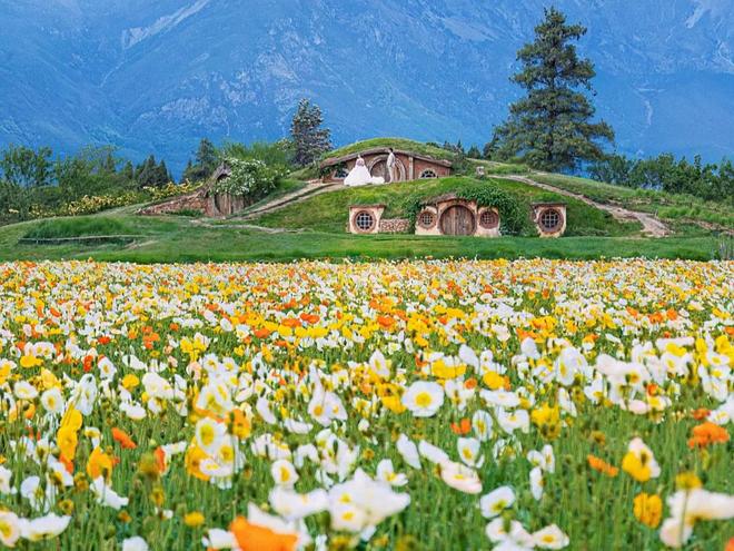 云南旅行社哪家好？排名前十口碑最好的旅行社附昆大丽超全攻略(图2)