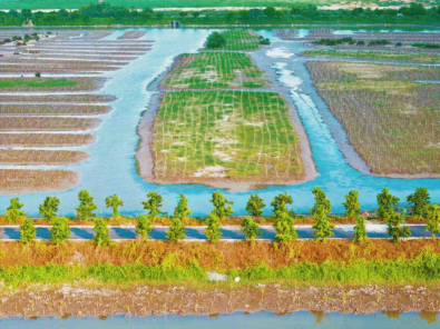 中山市自然资源局九游官网(图3)