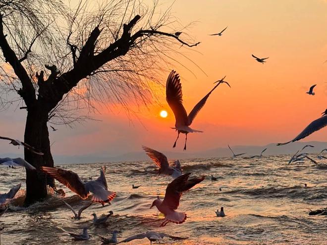 2025 云南正规旅行社口碑排名前十盘点搭九游app配大理丽江游玩攻略(图1)