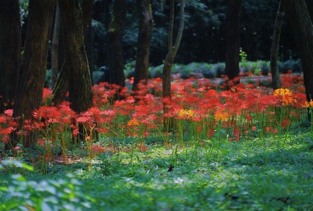九游官方app入口杭州3天2晚私人订制团小团价格3日游订制游路线规划旅游攻略！(图3)
