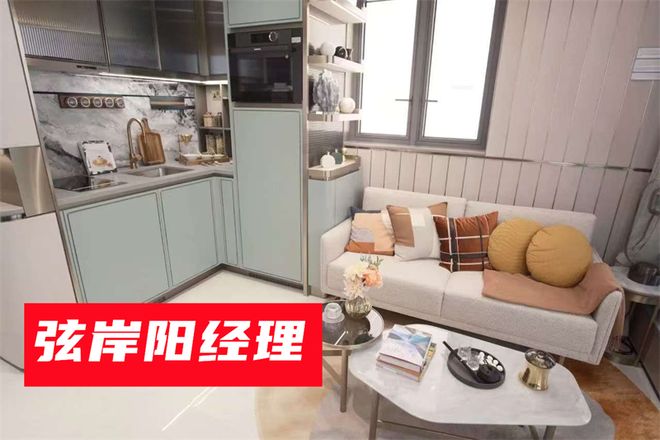 九游官网一文读懂香港弦岸属于几线档次弦岸楼盘优劣性（优缺点分析）(图3)