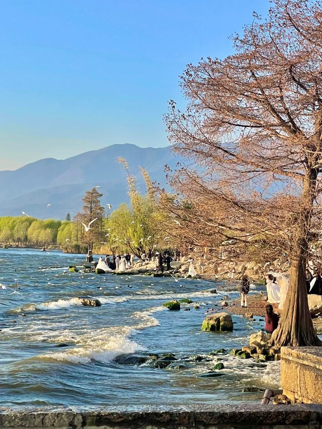 云南旅游5天人均费用多少？云南旅行五天四晚必备清单推荐(图5)