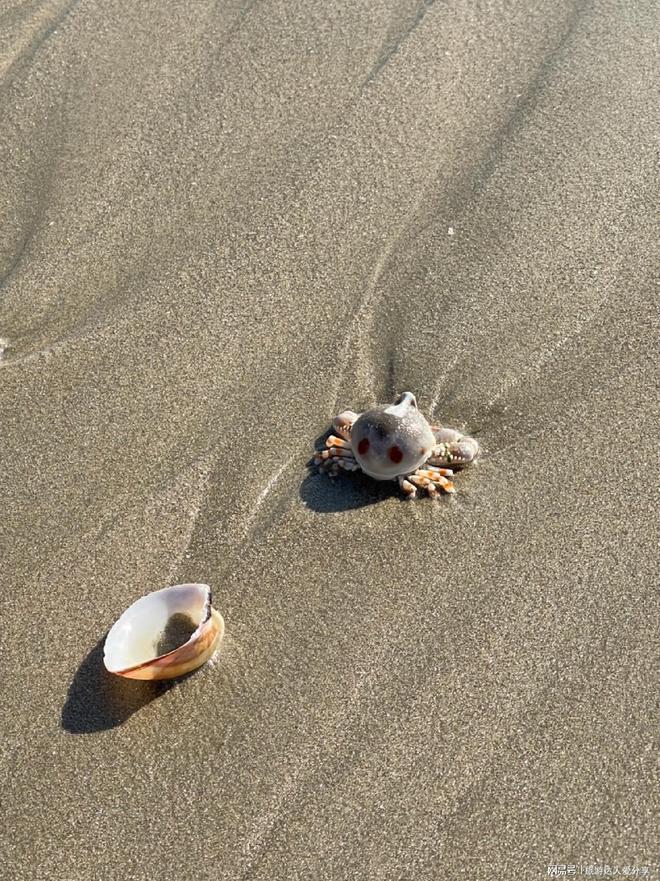 越南旅游7天6晚畅玩攻略到越九游官方app入口南旅游几天合适(图2)