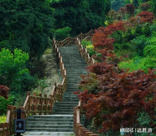 北京旅游攻略最佳方案北京旅游终极攻略：自助游与省心游指南(图3)