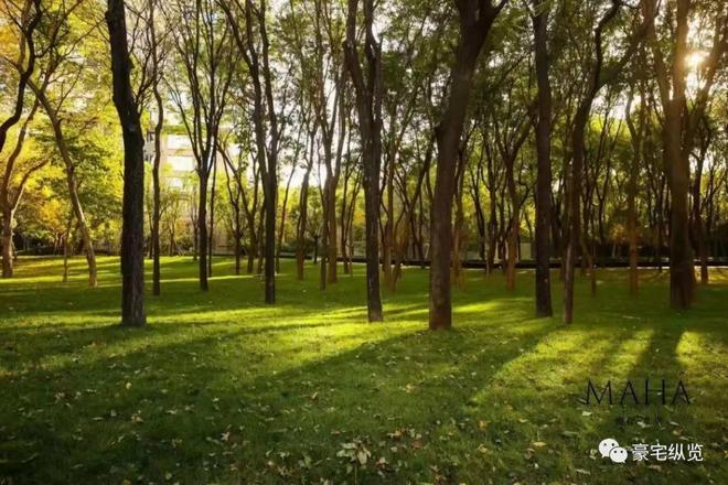 ☎楼市焦点@缦合北京开发商售楼处发布：缦合北京书写生活新篇章!(图4)