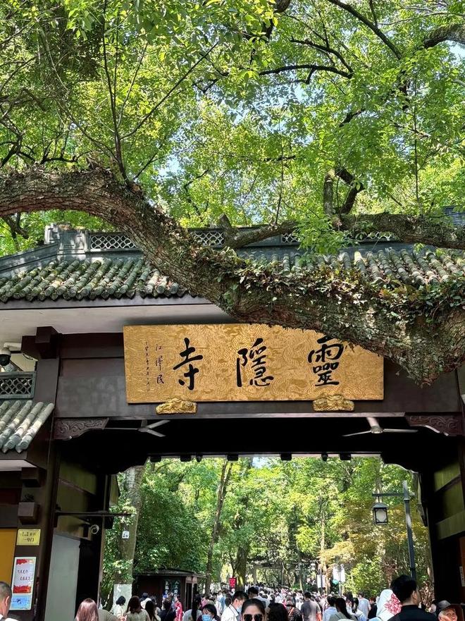 去苏杭旅行一周需要花多少钱？苏杭跟团7日游路线+费用+必去景点(图5)