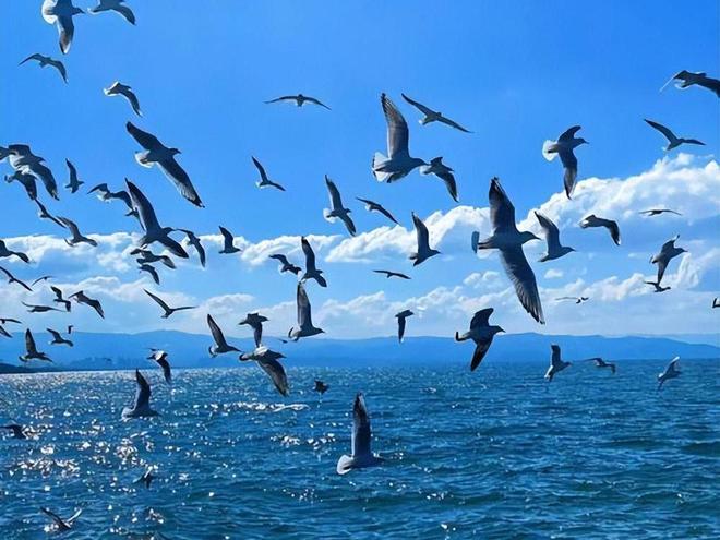 去云南旅游当地旅行团5日游报价云南跟团精品路线攻略(图3)