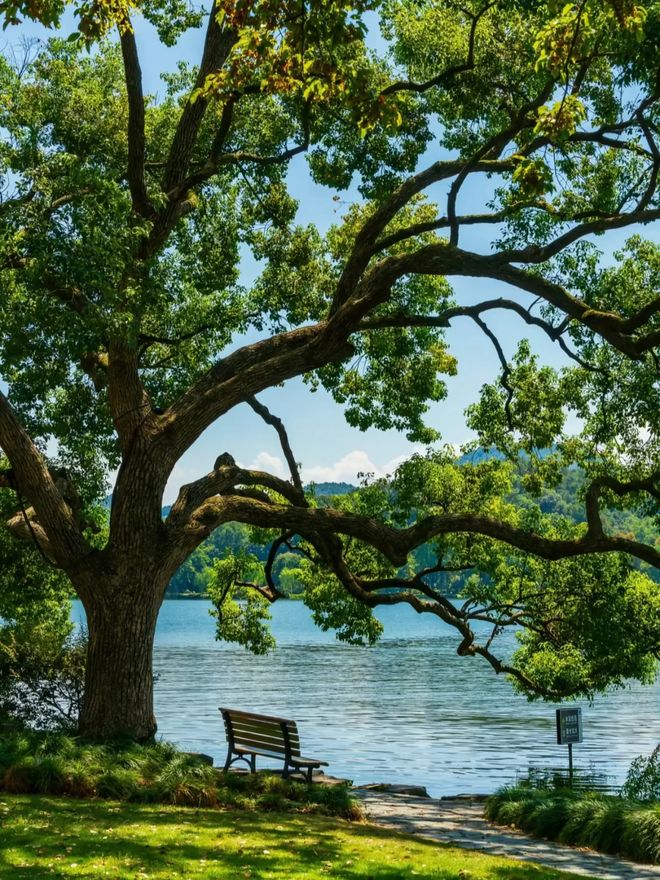 杭州正规的旅行社排名前十名：这几家才是口碑最好的旅行社