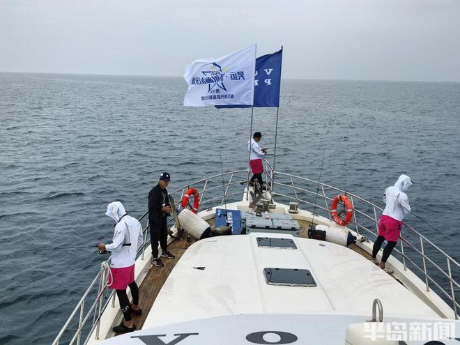 桂东出海记｜一场比赛引百万人围观 青岛离“海钓第一城”有多远？九游娱乐官方网站(图7)