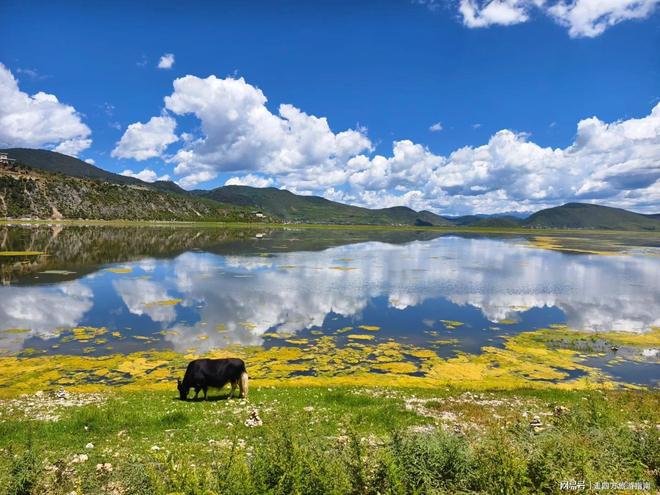 一家五口去云南旅游6天5晚要多少钱？云南旅游注意事项及避雷指南