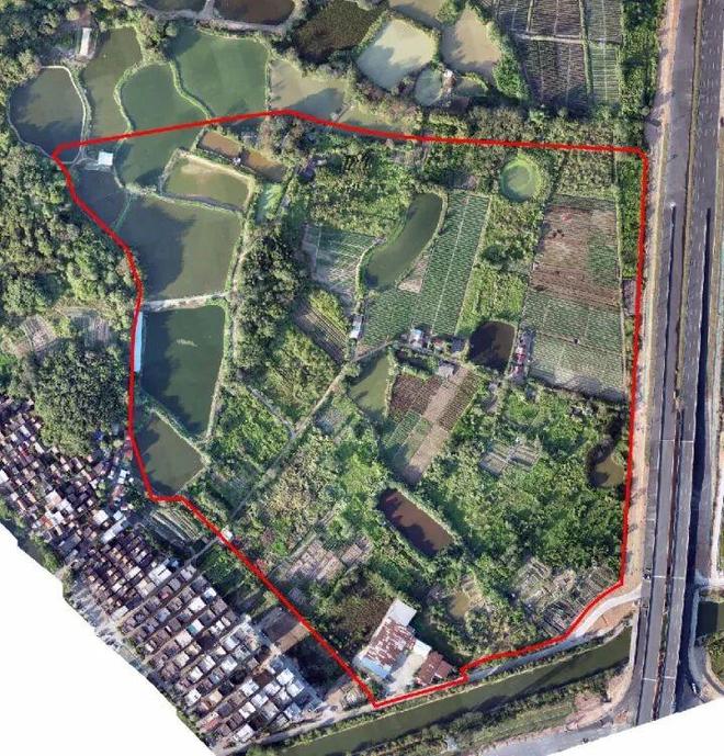 九游官方app入口猛！总投资超70亿！1年狂增30个项目！未来三年佛山文旅要开挂？(图26)