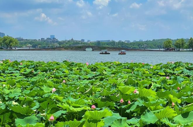 苏杭旅游跟团费用明细苏杭报团六日游多少钱真实参考速来了解(图4)