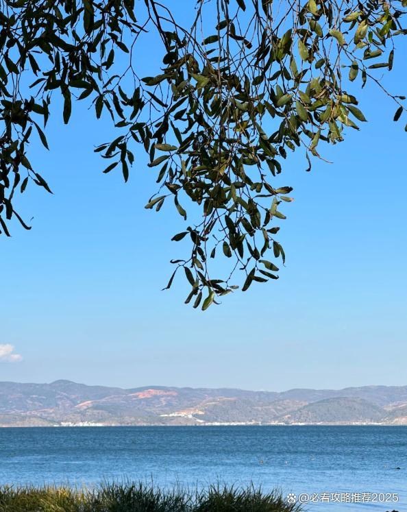 九游娱乐官方网站云南4天3晚双人品质旅游团预算4日游双人游行程旅游攻略快看(图2)