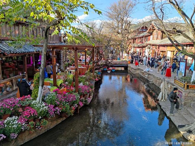 去云南旅游6天5晚九游app到底要不要跟团？云南必打卡的景点有哪些？(图2)