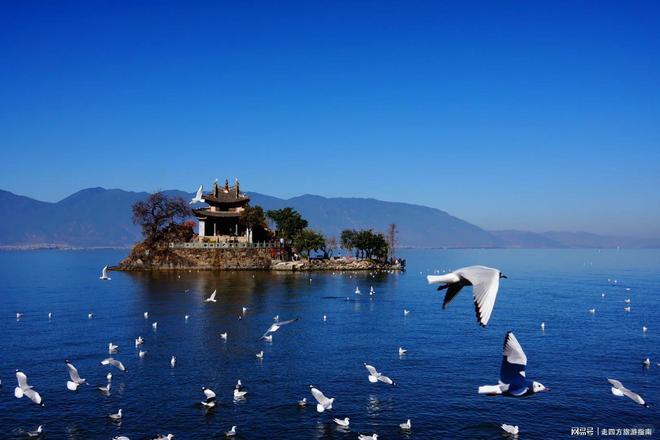 去云南旅游6天5晚九游app到底要不要跟团？云南必打卡的景点有哪些？(图3)