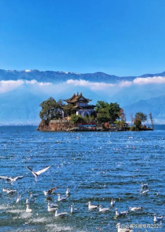 云南4天3晚全家旅游亲子团花费4日游亲子游行程旅游攻略推荐