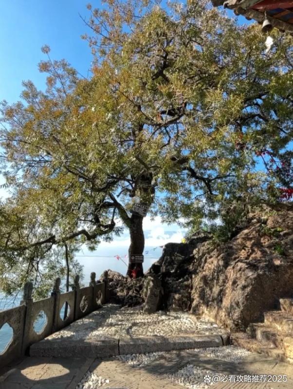 云南4天3晚全家旅游亲子团花费4日游亲子游行程旅游攻略推荐(图2)