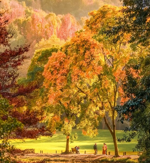 杭州旅行社排名TOP10：远胜游强势领跑解析报团游 九游appvs 自由行(图1)