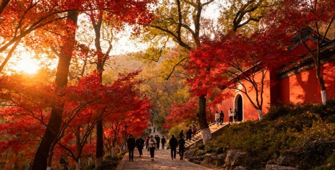 去南京旅游看这篇就够了！超详细攻略+避雷+纯干货！零踩雷！(图5)