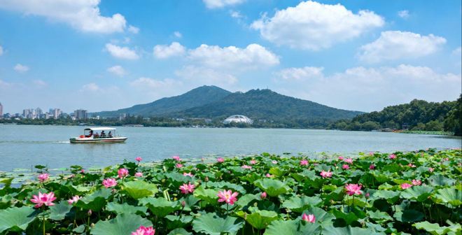 202九游官网5南京保姆级攻略：亲子老人情侣路线+南京美食指南(图3)