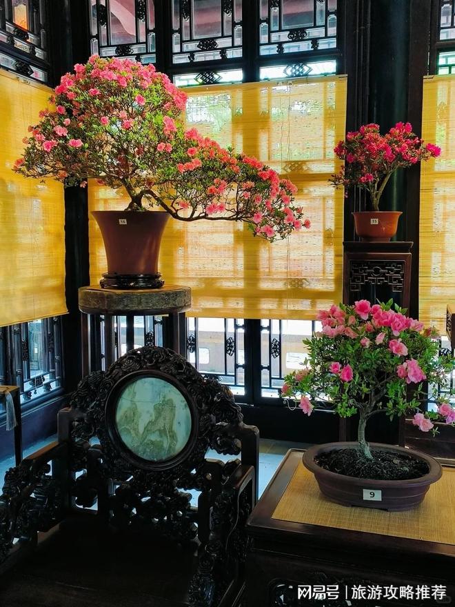 去苏杭旅游参团四日游详细线天消费价格