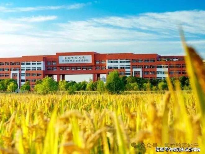 官方聚焦兰香湖贰号售楼处官方发布丨兰香湖2号专属游艇码头!(图11)