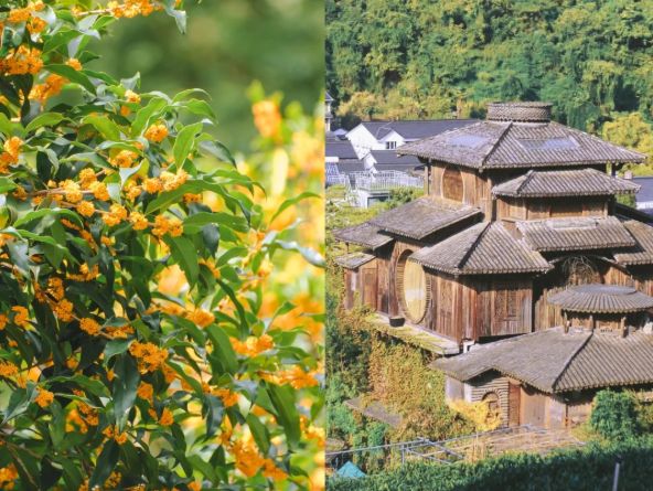 2025苏杭旅游攻略五日游跟团多少钱？苏州十大必去景点+透明报价(图6)