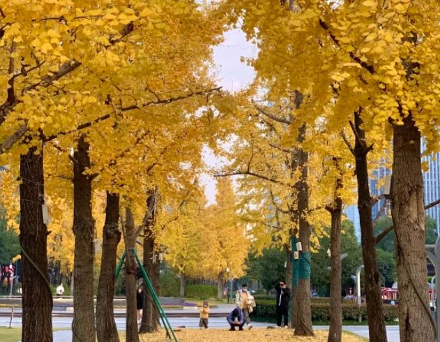 2025杭州3天2人游攻略：远胜游纯玩线+景点花费拆解+避坑技巧(图4)