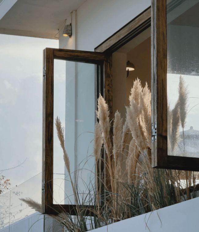 九游官网第一次去厦门5天4晚？具体花费+景点介绍参考攻略少走弯路​！