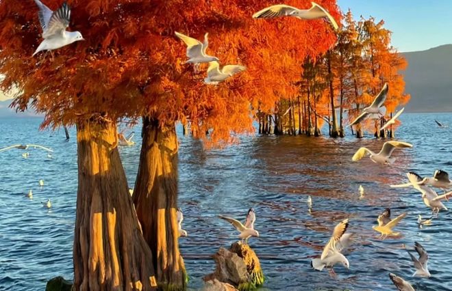 云南旅行社榜单：口碑最好的十大靠谱旅行社远胜游成家庭首选(图6)