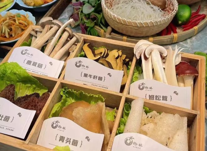 云南旅行社榜单：口碑最好的十大靠谱旅行社远胜游成家庭首选(图8)