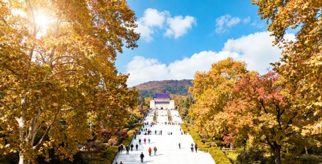 2025南京正规旅行社推荐：景中游零隐消无套路优质服务好评如潮(图3)