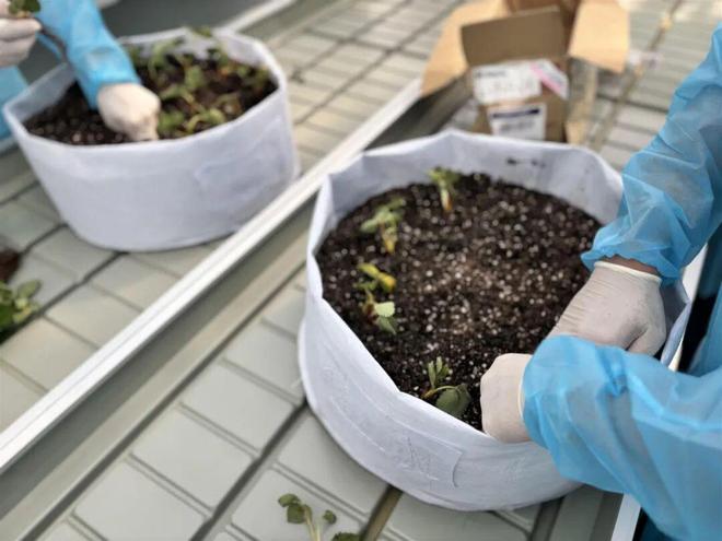 三亚以奋进之姿全力推进封关运作(图3)