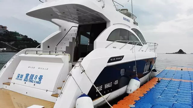 国际游艇展推出两大海洋主题活动 沉浸式探索海洋奥秘