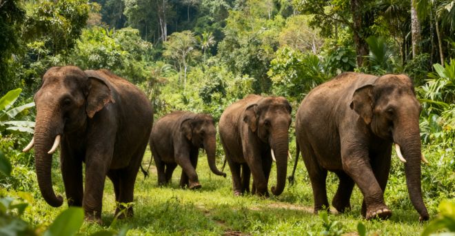 云南旅行最全最佳攻略指南：滇西北最全玩法纯玩报价避坑手册(图8)