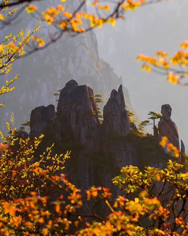 安徽黄山旅游5天4晚私家团多少钱？屯溪老街五日游宝藏路线攻略九游娱乐官方网站