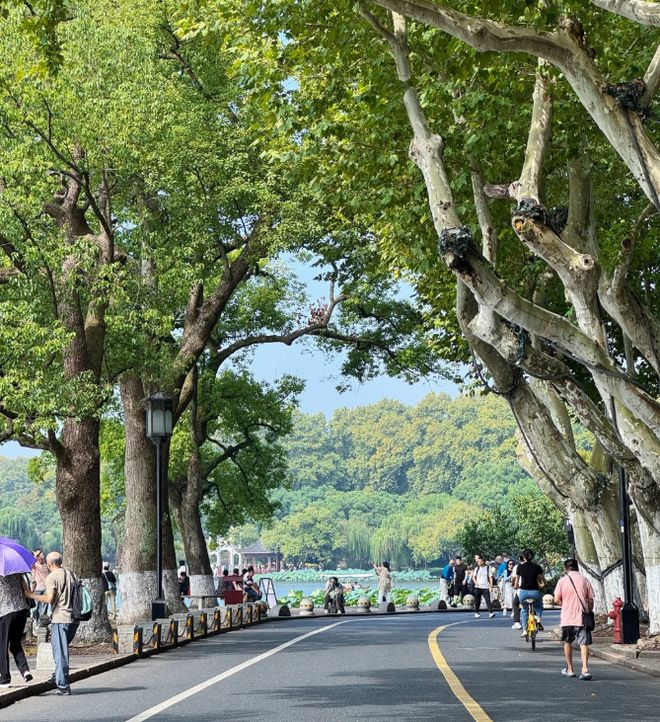 九游官网带娃到杭州旅游要多少钱？杭州亲子四日游价格4天3晚旅游攻略