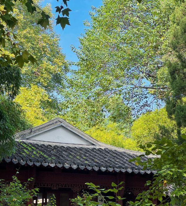 九游官网带娃到杭州旅游要多少钱？杭州亲子四日游价格4天3晚旅游攻略(图4)