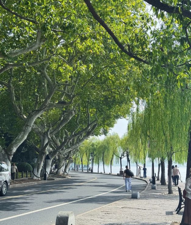 九游官网带娃到杭州旅游要多少钱？杭州亲子四日游价格4天3晚旅游攻略(图2)