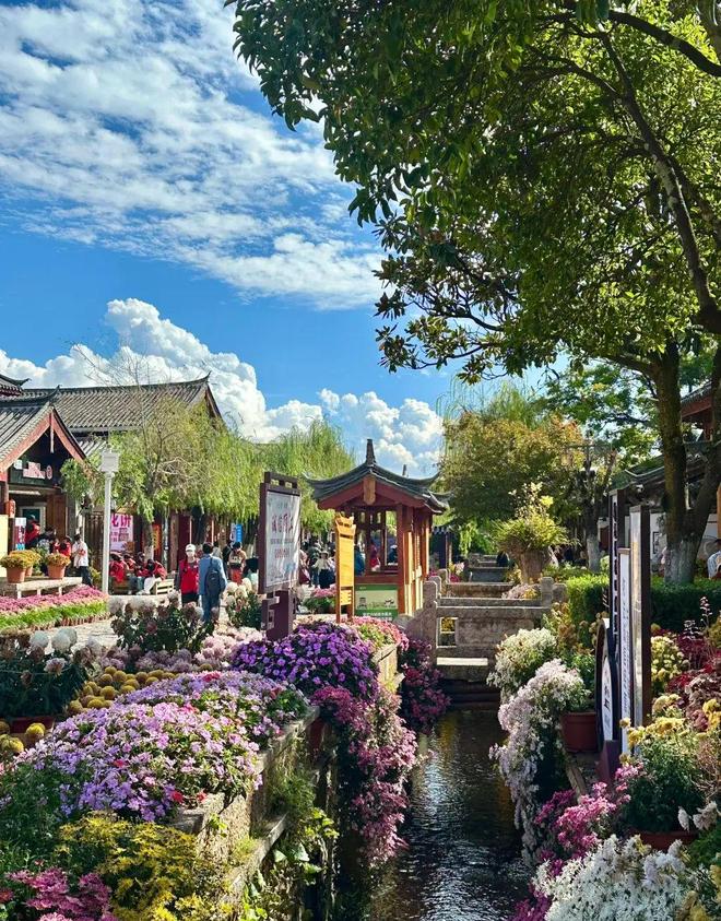 云南报团旅游七天费用多少一个人？最佳7日游价格及避坑指南！