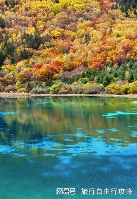 从上海去四川旅游5天4晚大概多少钱这篇省钱攻略一定要看(图4)